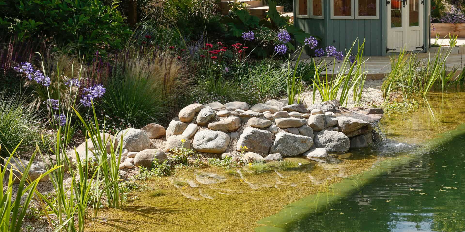 Natural Swimming Pond in Hitchin Hertfordshire a beautiful swimming pool with a waterfall and colourful natural planting
